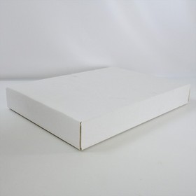 SAKURA WARS ONLINE Paris Limited Edition Dreamcast Sega 2401 dc