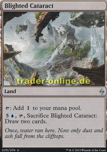 Battle for Zendikar Magic verheerter cataratas 2x Blighted cataract
