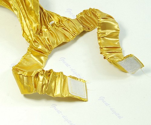 Gold Egyptian Belly Dance Egypt Dancing Costume Isis Wings Dance Wear Wing Ne ga