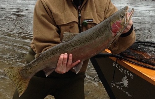 12 UV Estaz Stoneflies For Steelhead//Trout//Salmon