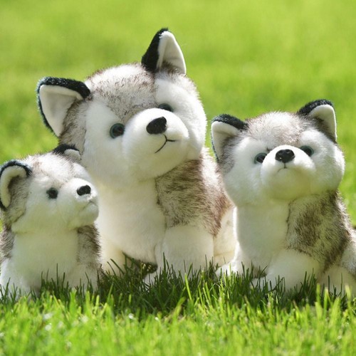 1 X Plush Doll Soft Toy Stuffed Animal Cute Husky Dog Baby Kids Toys Xmax Gift