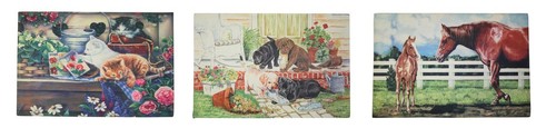 Schmutzfangmatte Eingangsmatte Fußmatte Schmutzmatte Matte Katzen Hunde Pferde