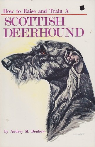 VINTAGE SCOTTISH DEERHOUND BOOK SCOTTISH DEERHOUND HOW TO RAISE