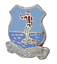 Woolacombe Beach Surfer Devon County Crest Small Pin Badge DEVON SELLER