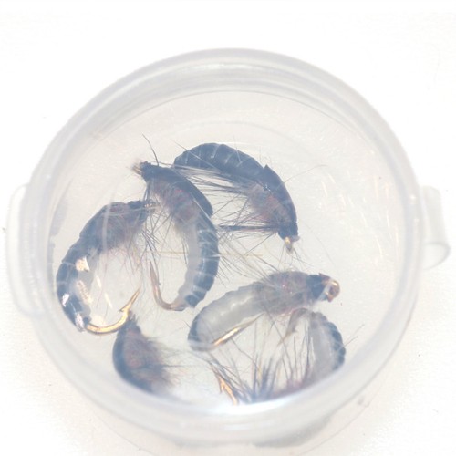 6x Realistische Nymphe Scud Fly für Forelle Angeln Künstliche Insekt Köder L0Z1
