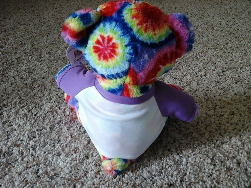 Colorado Tie-Dye Teddy Bear