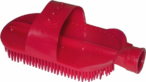 Curry Wash Brush #24414