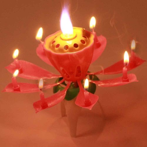 Low Price Lotus Flower Candle Musical Blossom Candles Happy Birthday Party