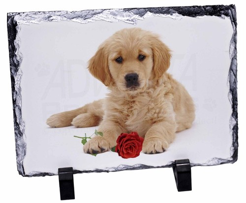 AD-GR54RSL Golden Retriever Dog with Rose Photo Slate Christmas Gift Ornament
