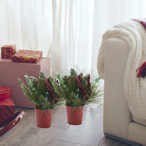 Kringle Express Set of 2 Classic Spruce Lit Potted Arrangements