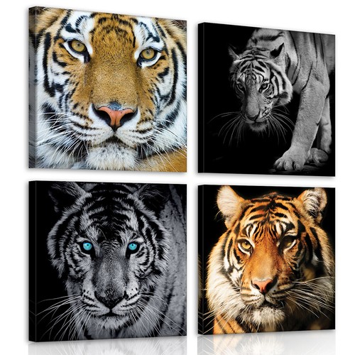 Canvas Set la fresque TOILE IMAGE POSTER Tigre Animaux sauvagerie 13n10808s20