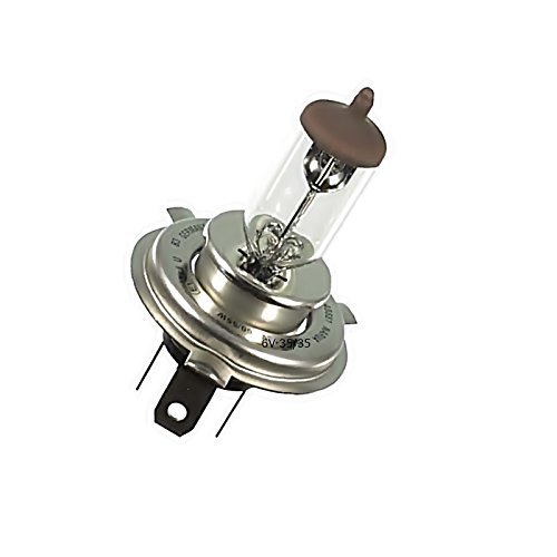 PX43t Glühlampe E-Geprüft Lampe 35//35W Frontscheinwerfer 12V Halogen HS1 1-21