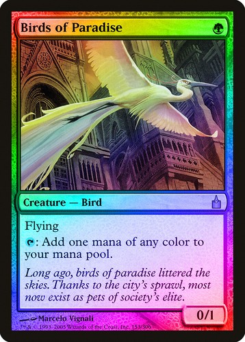 Birds of Paradise FOIL Ravnica City of Guilds PLD-SP Green Rare CARD ABUGames