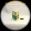 THE WIZARD OF OZ 1:6 Scale Color Illustrated Readable Minaiture Book