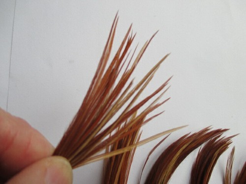 whitings and metz dry fly genuine genetic neck cape top bundles x 5