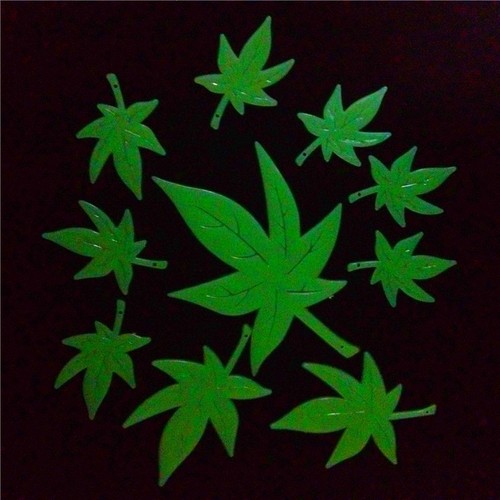 Choice of Design GLOW IN THE DARK Stick-on figures Dolphins Dragonflies Dinosaur