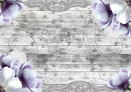 VLIES WANDBILD TAPETEN FOTOTAPETE BLUMEN ORCHIDEE HOLZ PFLANZEN BILD 3FX2662VE