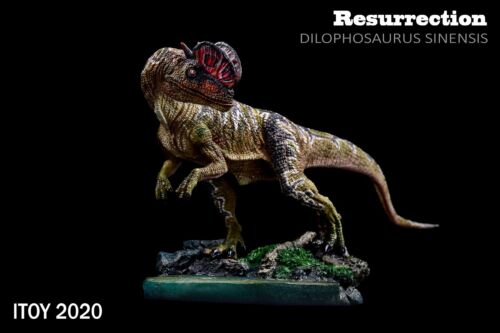 ITOY 2020 Dilophosaurus Statue Coelophysoidea Dinosaur Collector Animal Toy Gift 