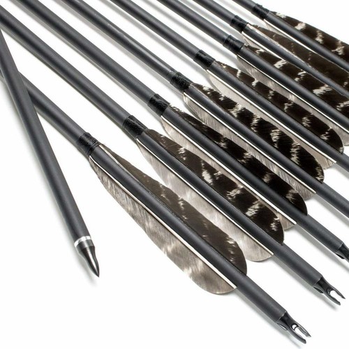 Archery 31/" Carbon Fiber Arrows,Targeting Practice Arrows Turkey Fletching