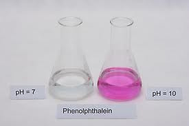 TITRATION PH TEST PHENOLPHTHALEIN SOLUTION KIT FOR CHEESE MAKING