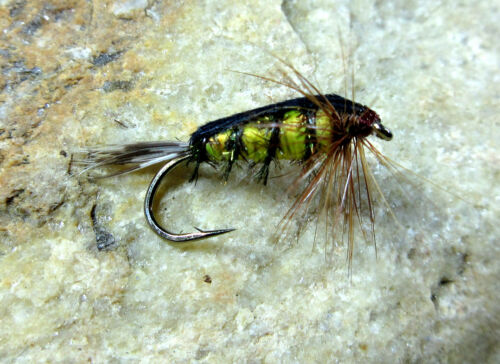 1714 Gereral Purpose Nymph Tellico Weighted
