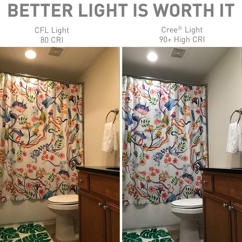 Cree 60W Equivalent Daylight A19 Dimmable Exceptional Light Quality LED 5000K