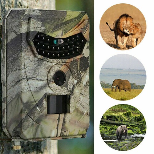 Details about / 1080P Mini Hunting Trail Camera Wildlife 20MP Scouting Cam Night Vision
