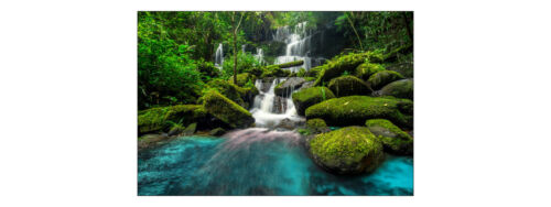 Fabelhafte VLIES FOTOTAPETE XXL Wasserfall Wald Moos Felsen NATUR 8822 