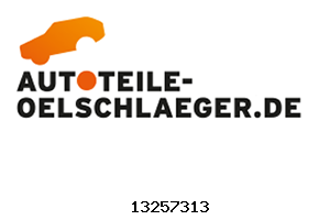 Original-pièce de rechange GM 13257313 OPEL 423554
