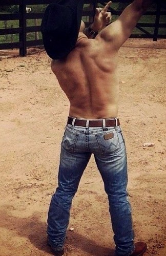 Shirtless Male Muscular Beefcake Cowboy Tight Jeans Backside View PHOTO 4X6 F136