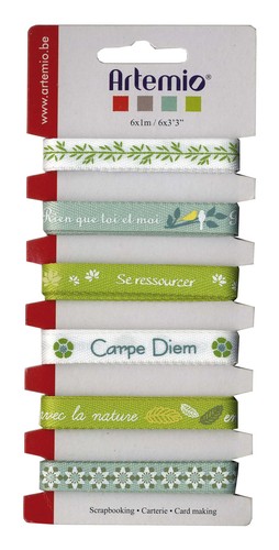LOT 6M RUBAN RIEN QUE TOI ET MOI SE RESSOURCER CARPE DIEM EN HARMONIE NATURE NEW