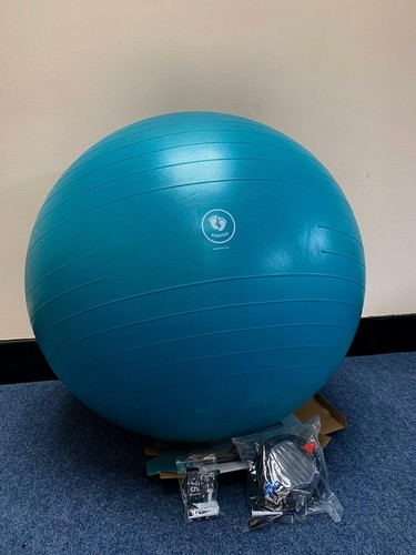 No Book /& Box Maternity Ball For Pregnancy BABYGO Labour Ball /& Yoga