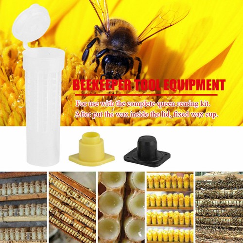 100x Beekeeping Rearing Cup Kits Queen Bee Hair-Roller Cages Cell Holder Fixture