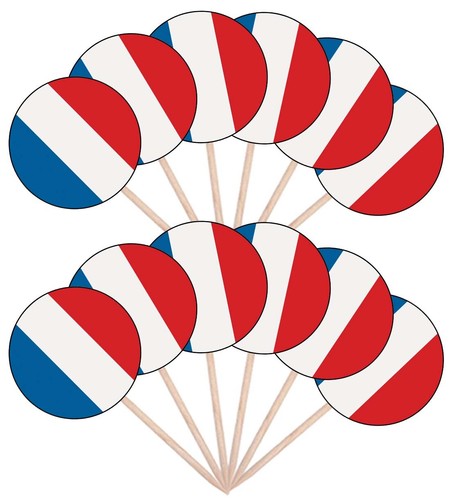 France French Flags Party Food Cupcake Cake Picks Sticks Decorations Toppers