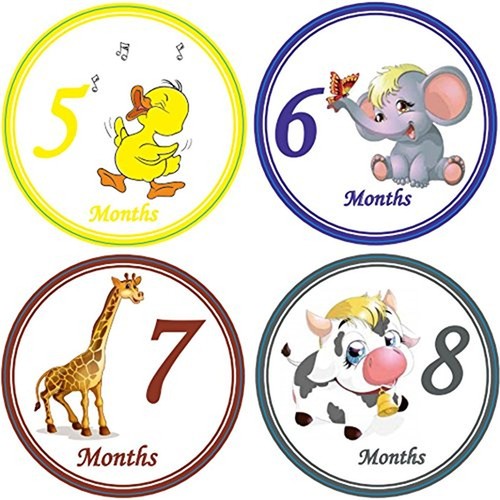 First Year Stickers for Infant Baby Monthly Stickers 28 Belly Stickers Boy