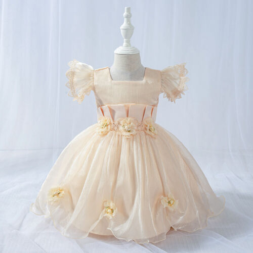 Details about / Childrens Newborn Baby Girls Pleated Flower Easter Multi-Layer Dress 3-24 MONTHS