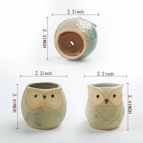 LUCKEGO 6 In Set 2.5 Inch Owl Pot Ceramic