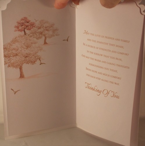 Avec sympathie la plus précieux souvenirs Carte 22.75 cm x 12 cm