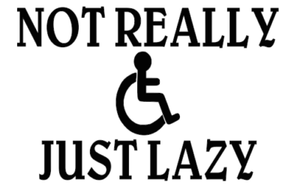 not really handicapped just lazy truck sticker vinyl funny car decal