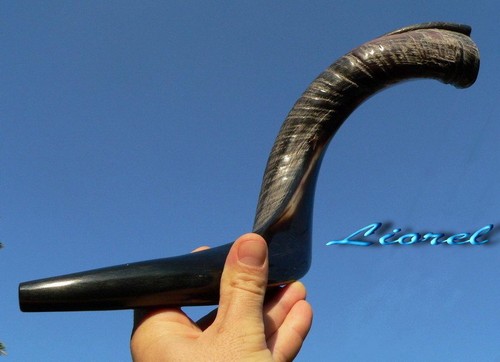 Small-Large Kudu SHOFAR Hebrew Trumpet Blow Horn Jewish Kosher Holy Land Israel
