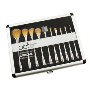  Brush on 10pc Makeup Brush Set Case Abt Advanced Beauty Tools Chrome Blush