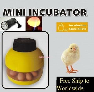 12 EGGS ADVANCE INCUBATOR HATCHING HEN CHICKEN POULTRY 220Volt | eBay