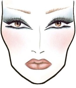  Products on 1700 Makeup Face Charts Mac Pro Bible Cosmetics Manual Training Cd Dvd