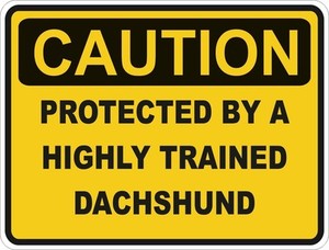 Funny Warning Sticker on Protected By Dachshund Warning Funny Sticker Dog Pet Decal Vinyl