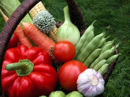 25 VARIETIES-NON HYBRID NON GMO HEIRLOOM SURVIVAL GARDEN SEED BANK SKU25VA in Home & Garden, Yard, Garden & Outdoor Living, Flowers, Trees & Plants | eBay