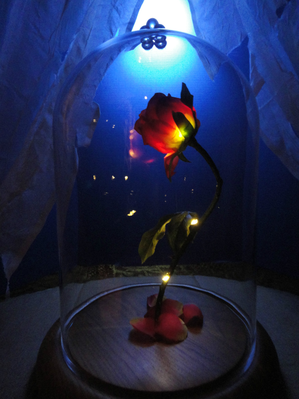 Disney fairies, Roses and Fairy tales on Pinterest