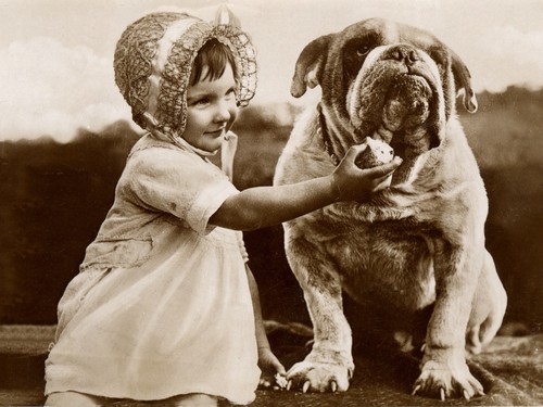 http://i.ebayimg.com/t/BULLDOG-AND-LITTLE-GIRL-FEEDING-DOG-CHARMING-PHOTO-PRINT-MOUNTED-READY-TO-FRAME-/00/s/MTIwMFgxNjAw/z/9ssAAOxye5BREq0r/$T2eC16NHJF8E9nnC6IbqBREq0rj)Pg~~60_12.JPG