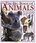 Big Book of Animals Sheila Hanly