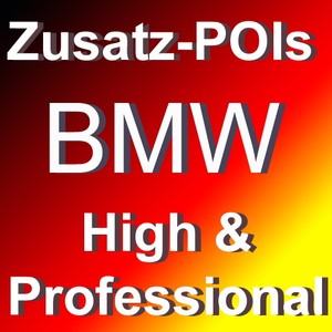 Bmw navi business blitzer #7