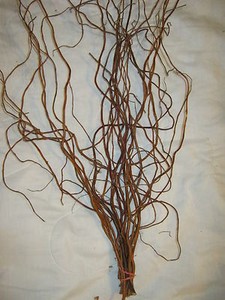 Curly Willow Branches